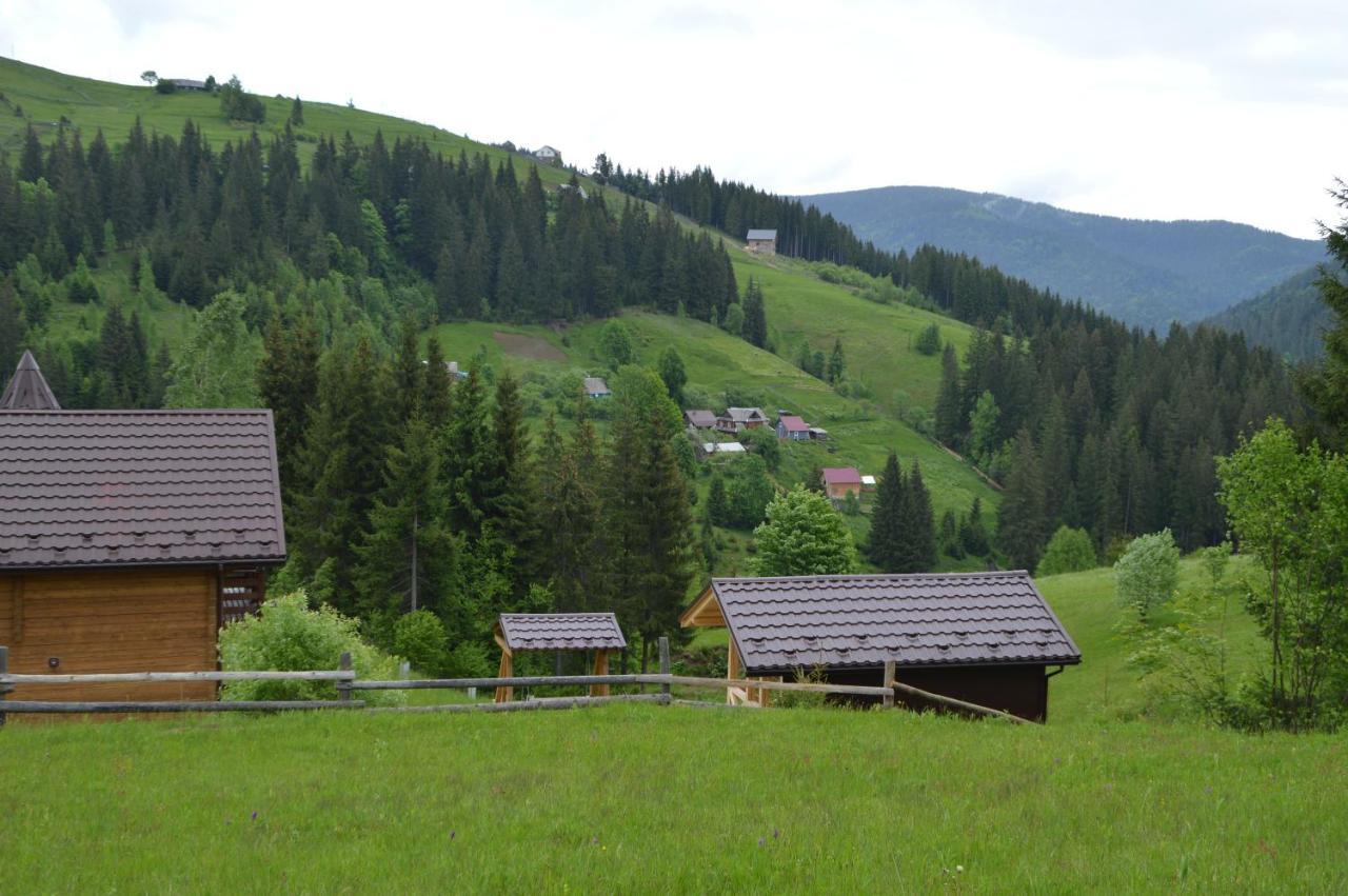 Willa Пагорб Їжака / Hedgehog Hill Jabłonica Zewnętrze zdjęcie